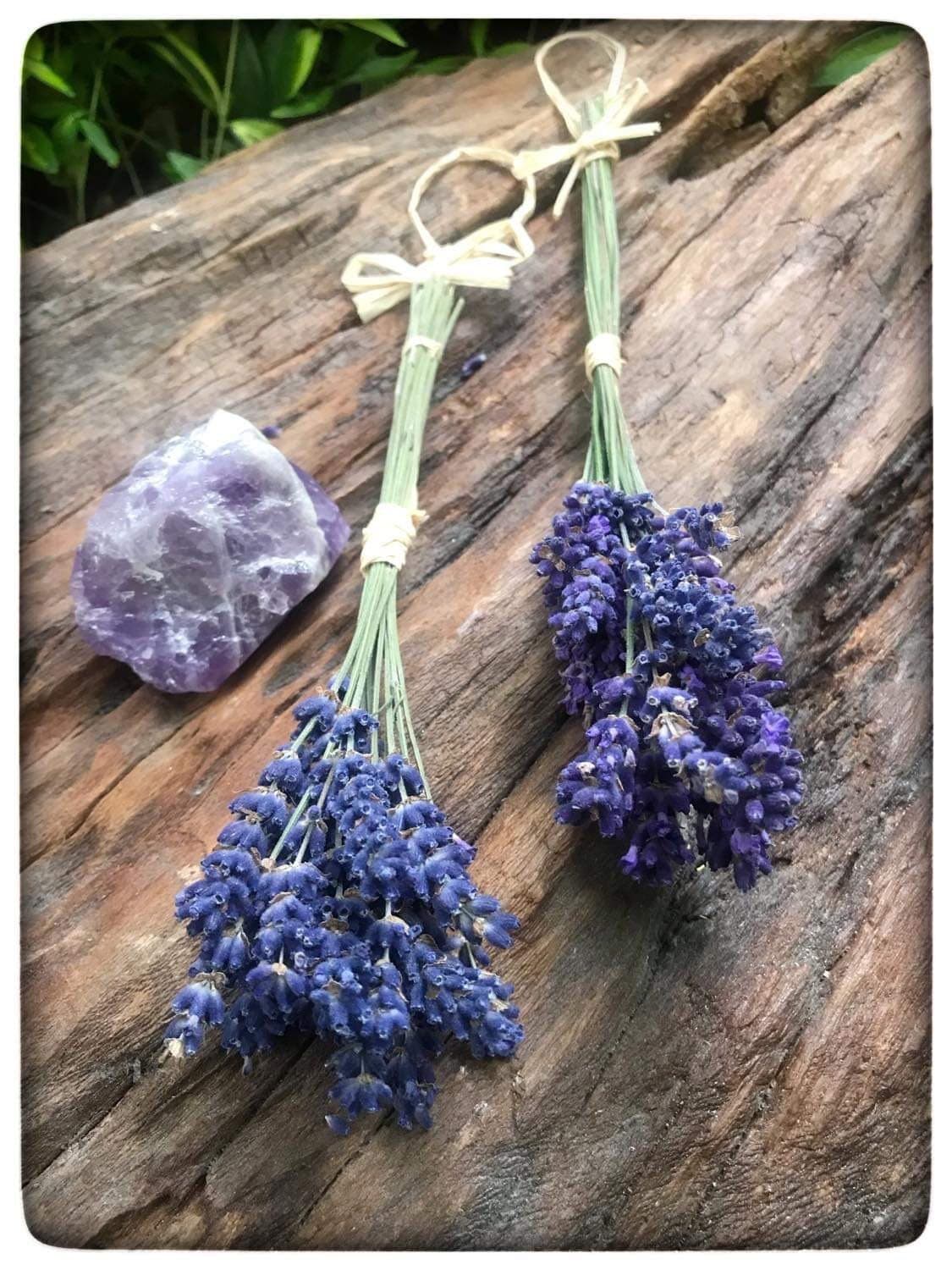 Eucalyptus and Lavender Wall Hanging Wall Hanging Home Decor Plant