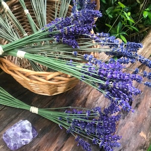 Dried British Lavender Bunch: Handpicked Organic Shropshire Decor
