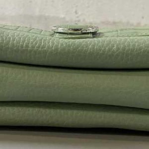 Brighton Mint Green Croc Embossed Leather Mini Organizer Crossbody Bag Y2K Belted