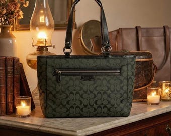 Coach Signature Python Stripe Tote Bag Purse F25706 - Etsy