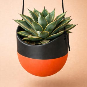 May include: A hanging planter with a green succulent plant. The planter is two-toned, with a black upper section and a bright orange lower section. The plant has green leaves with yellow edges. The planter is suspended by a black rope.