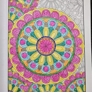 May include: A vibrant, hand-colored mandala design with concentric circles and floral patterns. The artwork features a central pink flower surrounded by yellow, blue, and brown petals, all outlined in black. The design is set against a white background.