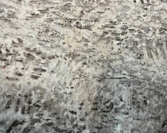 Amsterdam // Van Gogh Museum Print // Gray Background Low Volume // Robert Kaufman // 2 yard cut