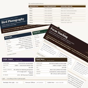 Könnte beinhalten: Eine Sammlung von Spickzetteln zur Fotografie mit Text und Diagrammen. Themen sind Vogelfotografie, Fokus-Stacking und Makrofotografie. Die Zettel bieten Einstellungen für Blende, Verschlusszeit und ISO mit Beispielen für verschiedene Szenarien. Das Farbschema ist hauptsächlich Weiß und Schwarz mit etwas Braun.