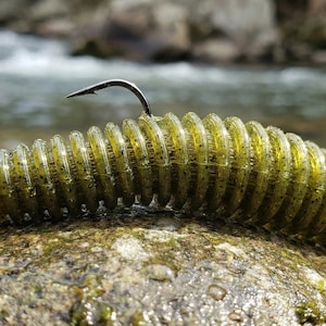 May include: A green and black soft plastic fishing lure with a curved hook attached. The lure is ribbed and lies on a mossy rock with a river in the background.