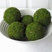 Moss Pomander Balls, Set of 5, 3 inch Moss Balls for Home or Wedding Decor