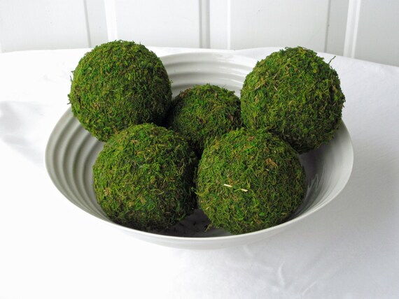 Moss Pomander Balls Set Of 10 3 Inch Moss Balls For Home Or Etsy