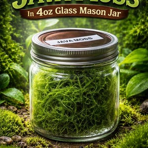 Aquarium Live Moss 4oz Jar