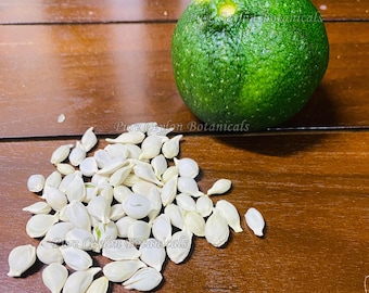 Semillas de mandarina verde para plantar / Cítricos verdes / Fruta tropical más dulce / Semillas no transgénicas