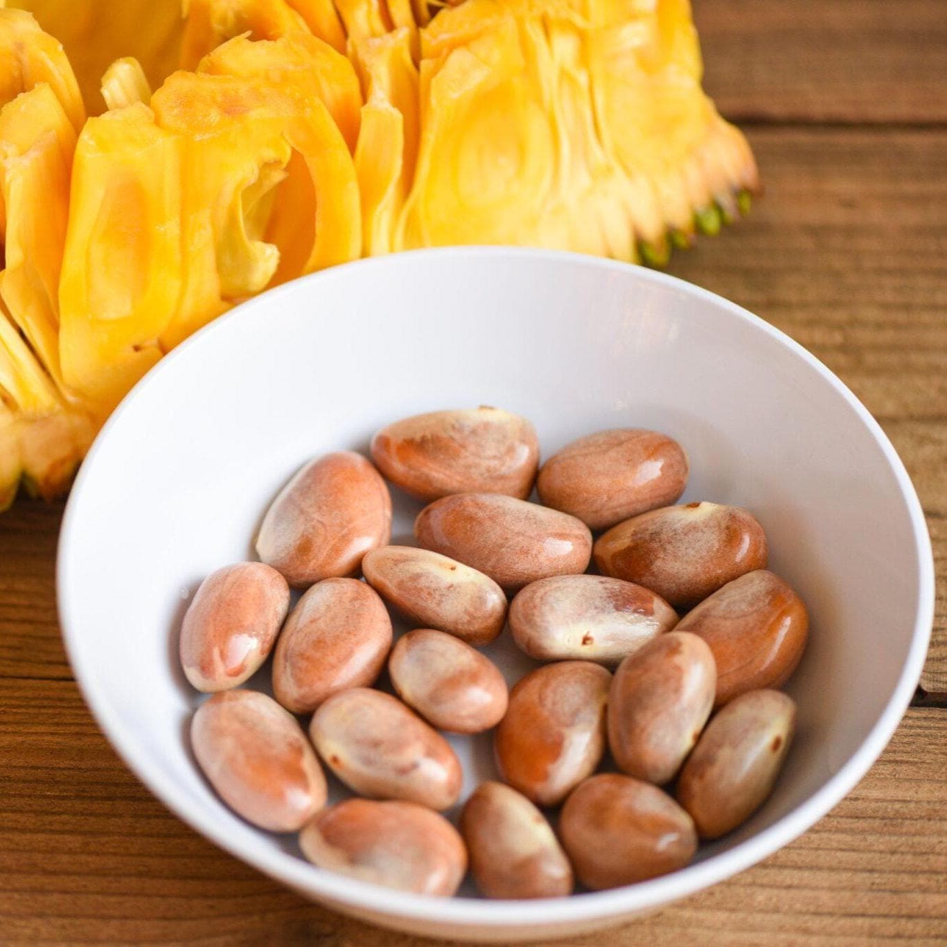 Jackfruit seeds - Etsy 日本