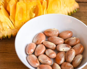 Semillas frescas de yaca de Ceilán para plantar / Semillas de fruta tropical gigante dulce