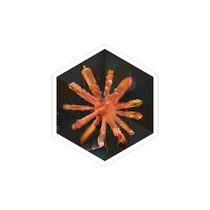 May include: A sticker featuring a complex, abstract design. The central element is a starburst-like shape in shades of orange and gold, radiating from a central point. The sticker has a hexagonal shape with a white border, set against a dark background.