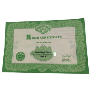 May include: A rectangular Cabbage Patch Kids birth certificate with a green leafy border. The document features the text Birth Certificate, Rosalind Dixie, and Dec 1. It includes an official hospital seal and a signature from the Chief of Staff.