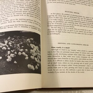 May include: A black and white photo of a bush with white flowers. The bush is in a garden setting with green grass and a few other plants in the background. The text "What, exactly, is a shrub?" is visible in the lower right corner of the image.