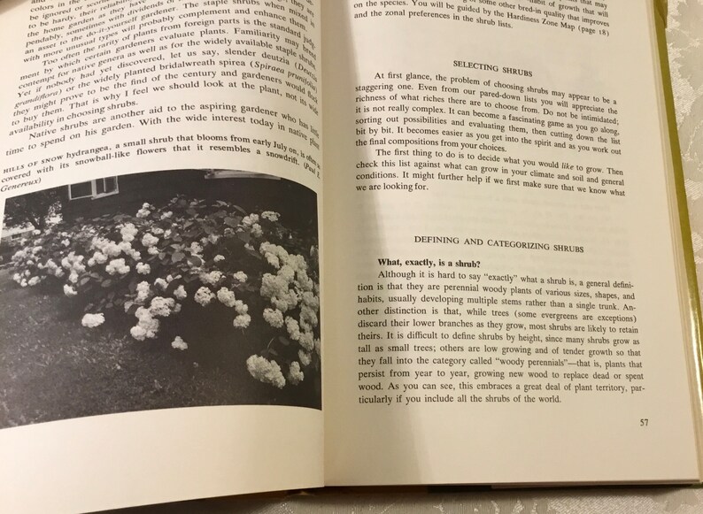 May include: A black and white photo of a bush with white flowers. The bush is in a garden setting with green grass and a few other plants in the background. The text "What, exactly, is a shrub?" is visible in the lower right corner of the image.