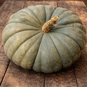 May include: A large, blue-green pumpkin with a textured surface and a brown stem sits on a weathered wooden table. The pumpkin's ribbed sides and unique color make it a striking autumn decoration. The pumpkin is a seasonal harvest item.