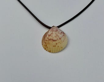 Handmade Atlantic Scallop Shell Pendant Necklace – Coastal Boho Jewelry