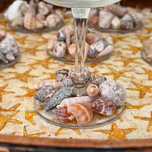 Può includere: Un bicchiere di champagne trasparente è appoggiato su un piattino trasparente pieno di varie conchiglie. Il piatto poggia su un vassoio con un motivo a stella marina. Le conchiglie sono nelle tonalità del bianco, del marrone e del beige.