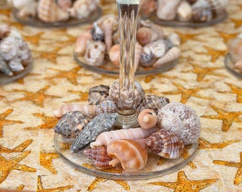 Seashell Cocktail Glasses for Couple