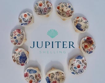 Seashell Ring Dish – Handcrafted Nautical Jewelry Holder, Coastal Decor