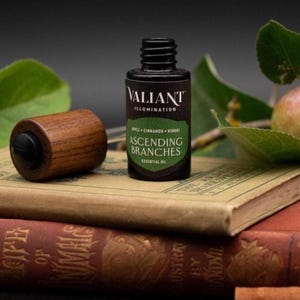 Ascending Branches - 15ml oil blend - Apple / Cinnamon / Hinoki - Courage & Strength