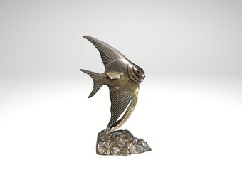 Brass Angelfish on Rock Platform