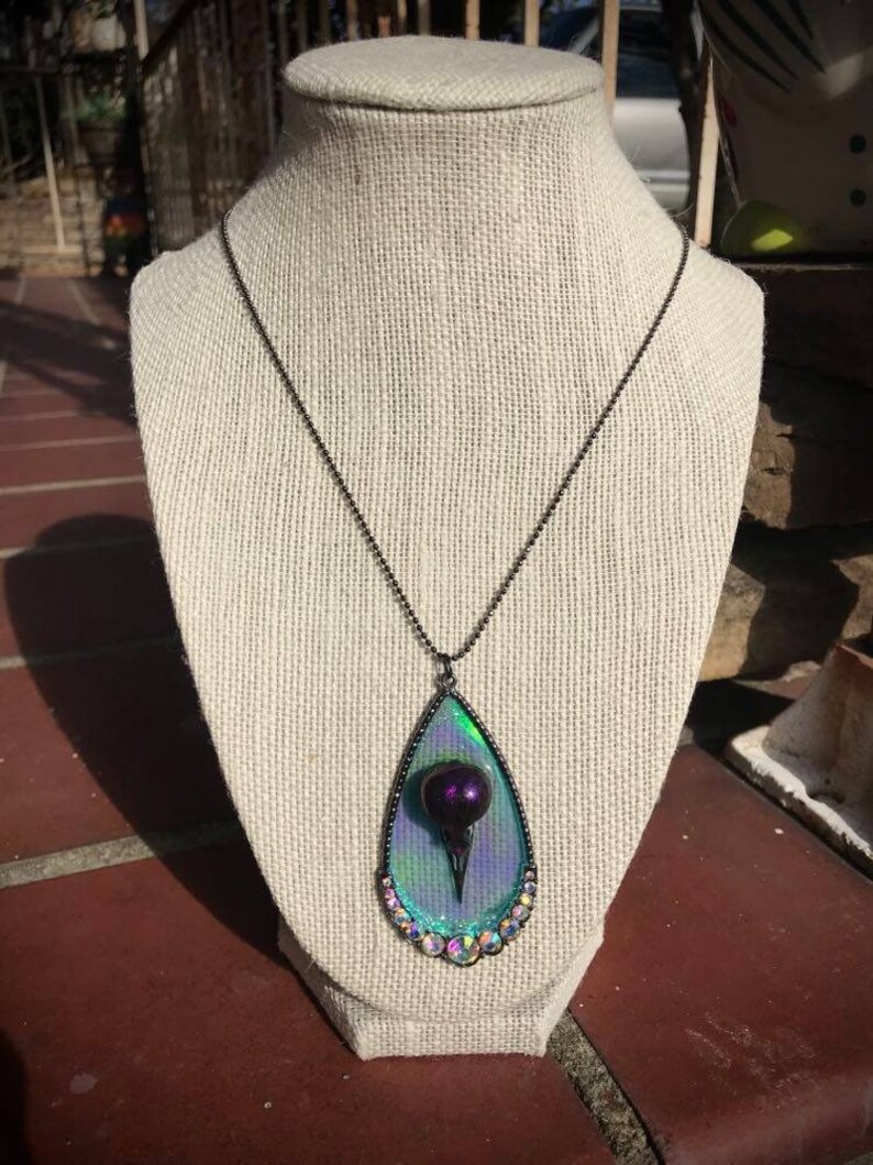 Cruelty Free REAL Bird Skull Necklace