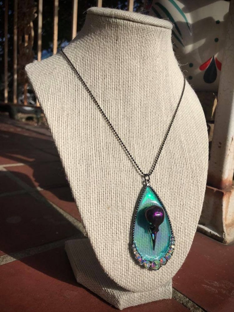 Cruelty Free REAL Bird Skull Necklace