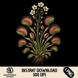 May include: A digital illustration of a Venus flytrap plant featuring green leaves with pink-tinted, spiky traps and a central stalk topped with small white flowers. The plant includes visible brown roots at the base against a black background.