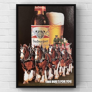 May include: A framed print featuring a Budweiser beer bottle and a full glass of beer. A team of eight Clydesdale horses pulls a wagon with two men and a dog. The text "THIS BUD'S FOR YOU" is at the bottom.