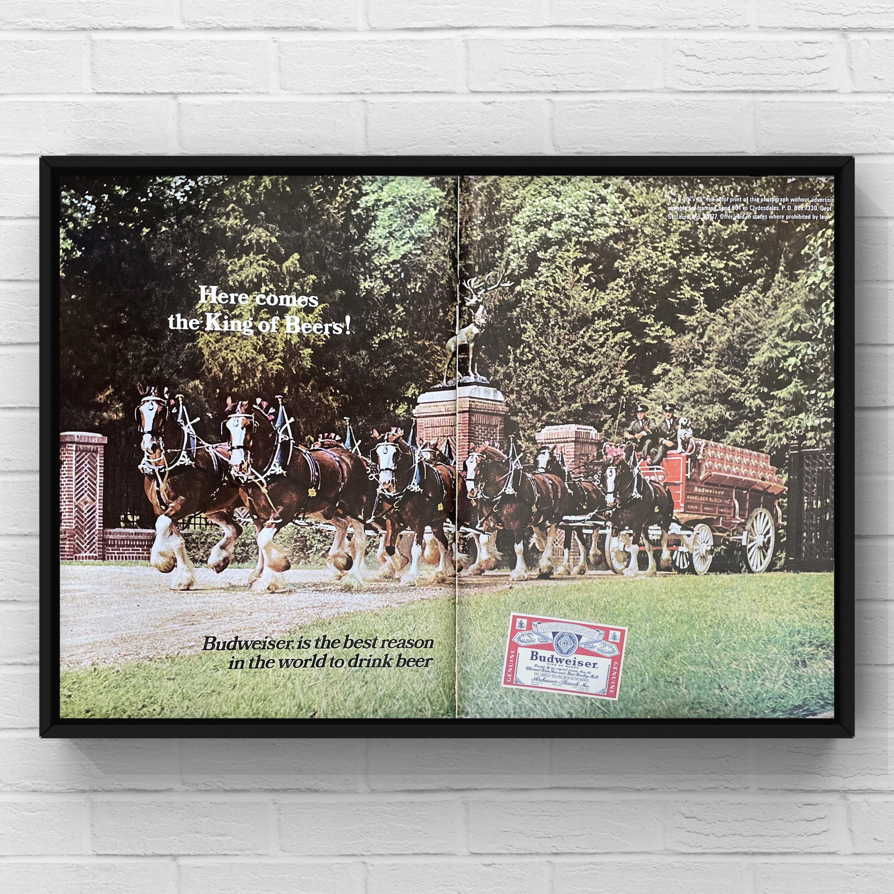 1960s Budweiser - Etsy