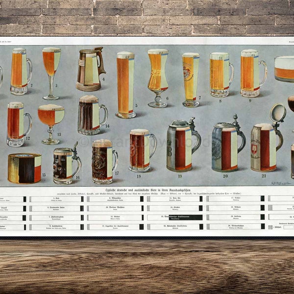 INSTANT DOWNLOAD Types of German Austrian Beers Pilsner Hofbrau Poster Print Beer Print Beer Wall Art Beer Art Craft Beer