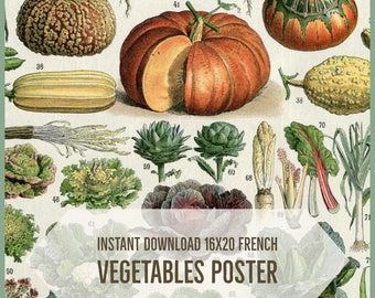 INSTANT DOWNLOAD Pumpkins Vegetables Artichoke Lettuce Cabbage Leeks Endive Onion Turnip Rutabaga Larousse DIY Printable Art Poster Print