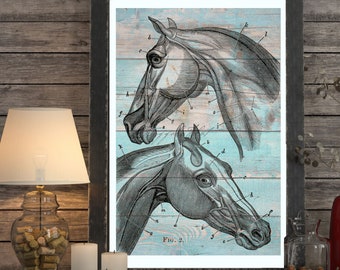 Free Equine Anatomy Chart