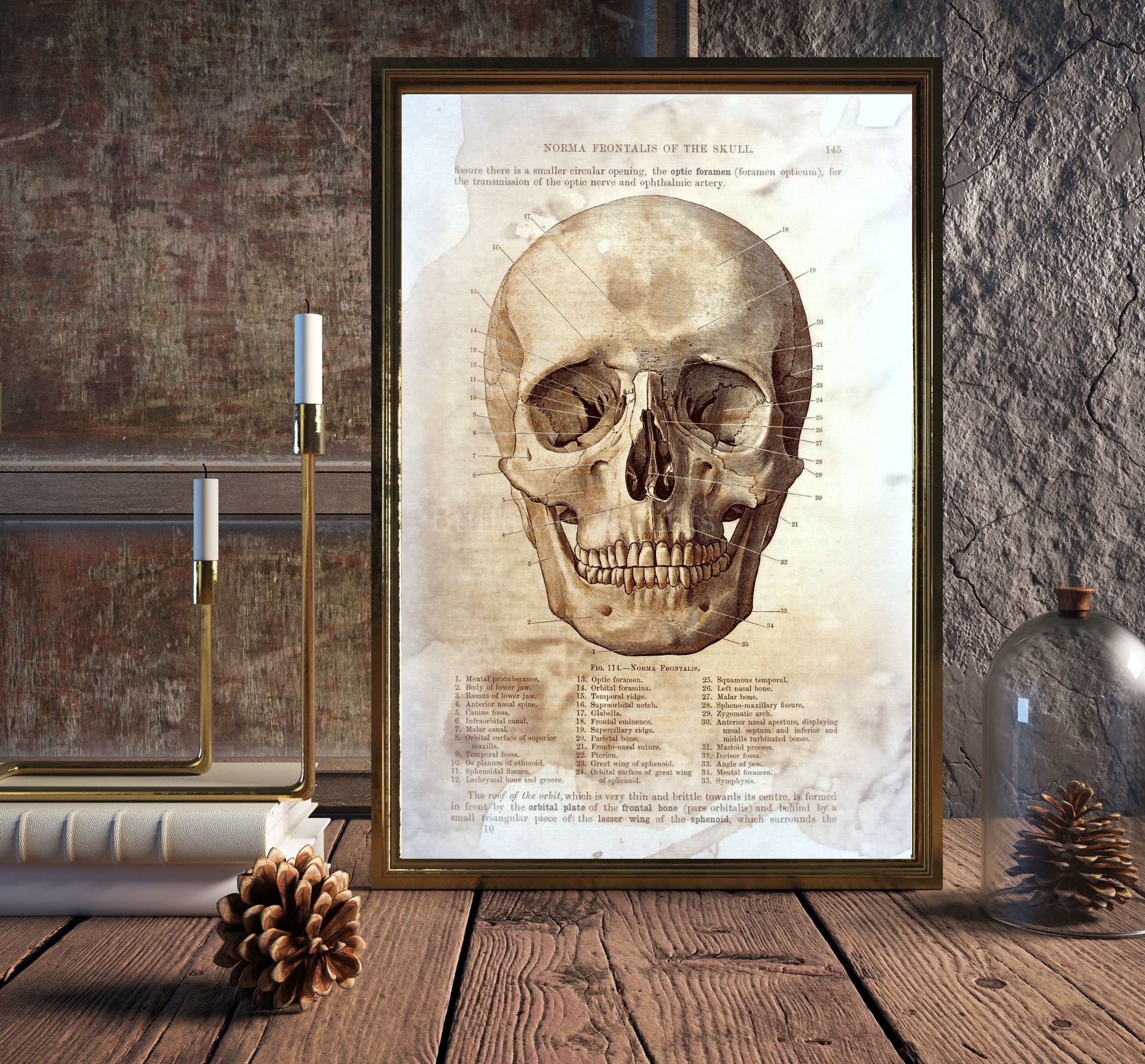 Human Skull and Bones available as Framed Prints, Photos, Wall Art and  Photo Gifts