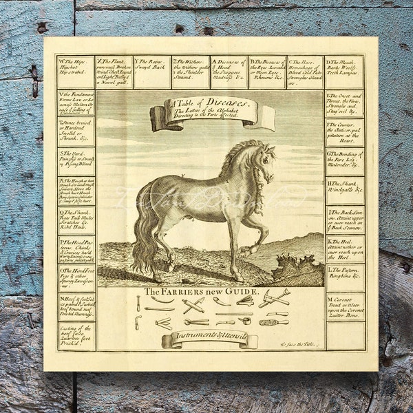 Farriers Guide Anatomy of a Horse Horse Diseases Cures Horse Shoe Tools Equestrian Art Print Horse Lovers Poster Print Digital Download