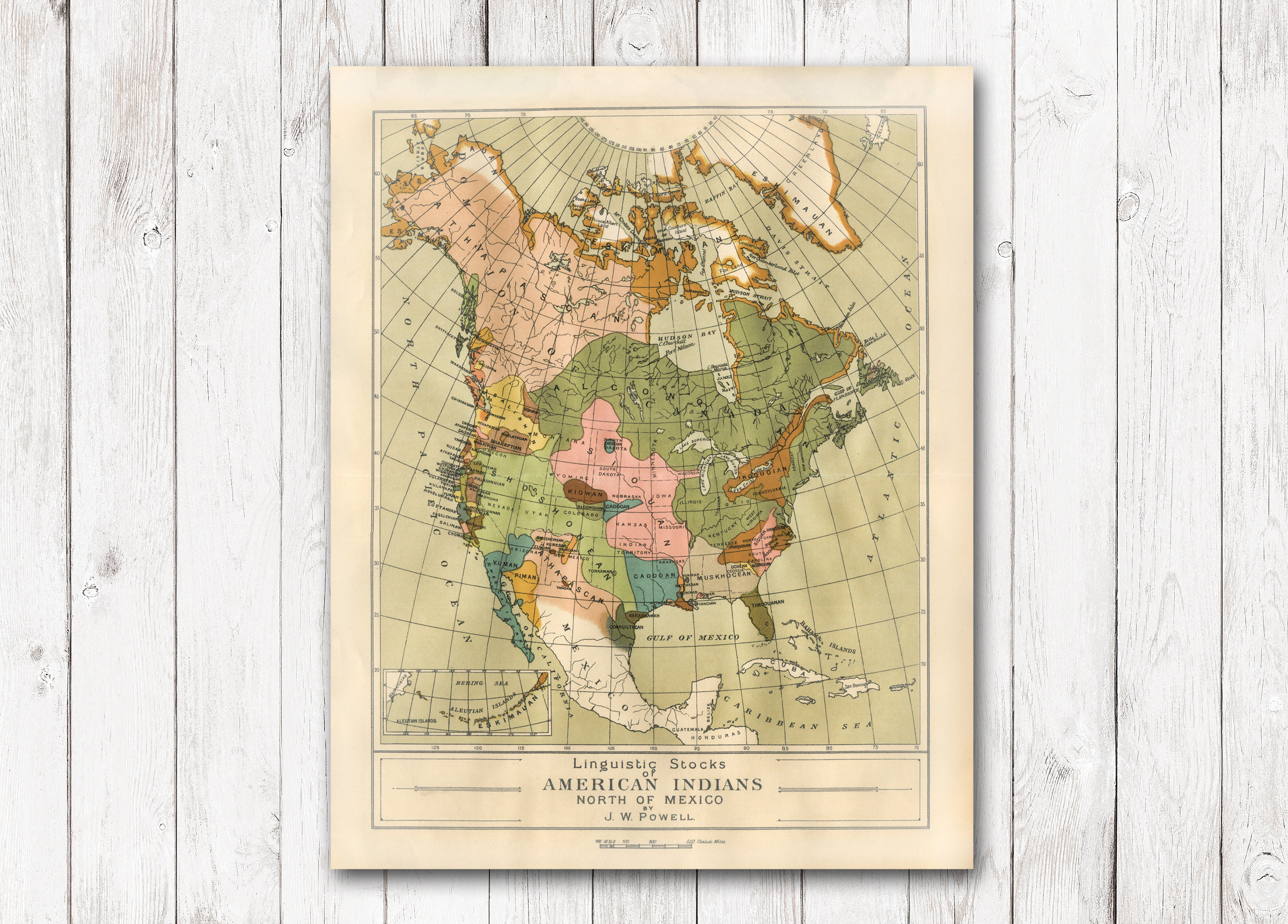 1650 US Map Indian Tribes In 1650 Native American Historical Poster - Foto 9