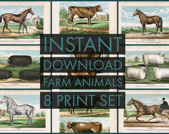 INSTANT DOWNLOAD 8 Print Set  arm Animal Prints Pig Sheep Cows Horses Barnyard Farm Animals Poster Prints