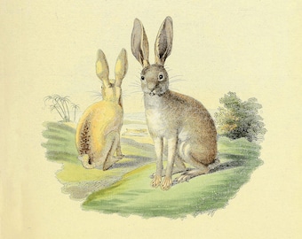 INSTANT DOWNLOAD Easter Bunny Rabbits Lapin Country Scene Ready to Print Instant Gift