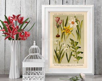 INSTANT DOWNLOAD Easter Flowers Daffodills Narcissus Jonquil Snowdrop Crocus Botanical Poster Cottage Core
