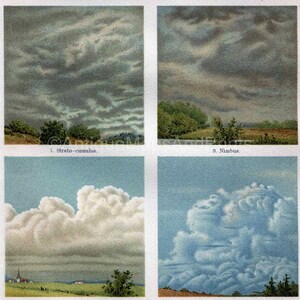 Puede incluir: Cuatro ilustraciones de diferentes tipos de nubes. La imagen superior izquierda muestra un cielo gris con una capa de nubes blancas y esponjosas. La imagen superior derecha muestra un cielo gris con una capa de nubes grises oscuras. La imagen inferior izquierda muestra un cielo azul con una capa de nubes blancas y esponjosas. La imagen inferior derecha muestra un cielo azul con una capa de nubes grises oscuras. Las im&aacute;genes est&aacute;n etiquetadas con los nombres de las nubes: Strato-cumulus, Nimbus, Cumulus y Cumulo-nimbus.