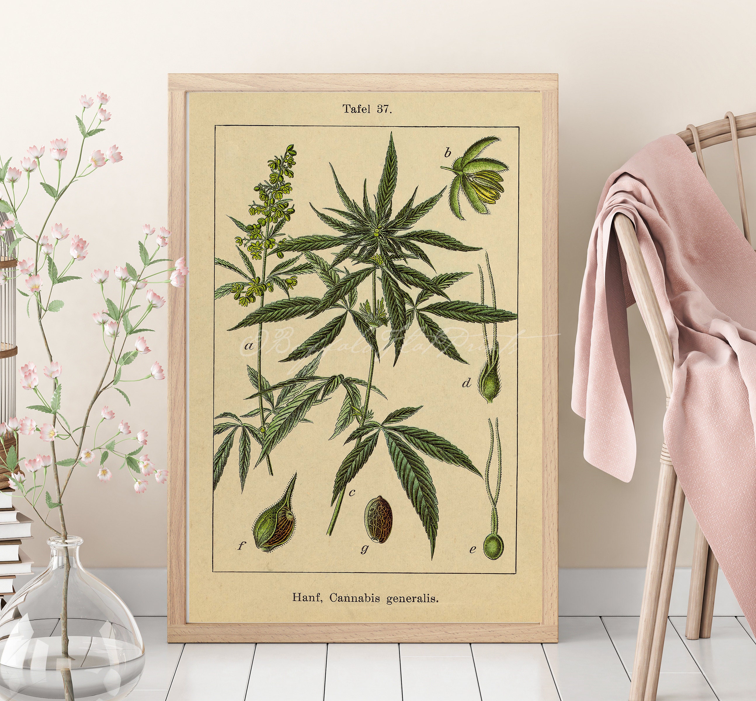 Art Print Cannabis Sativa Medical Marijuana Botanical Poster Print 6x9 to 24x36