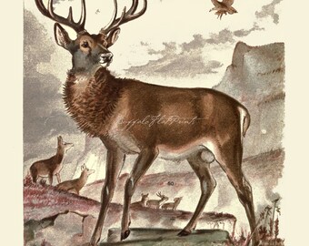 INSTANT DOWNLOAD Deer Elk Reindeer Poster Print Forest Animals Stag Wall Art Cabin Cottage Decor Natural History Woodland Art Printables