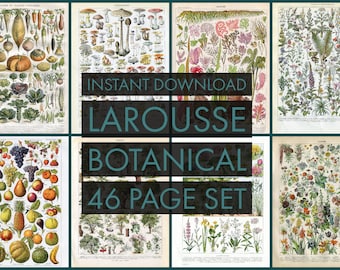 INSTANT DOWNLOAD 46 Page Set Larousse Botanical Medicinal Plants Fruit Vegetables Seaweed Trees Mushrooms and more