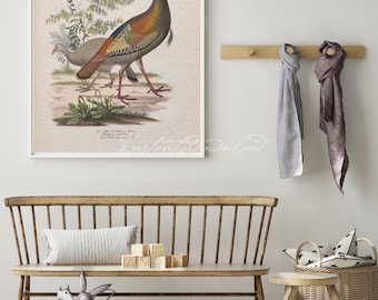 INSTANT DOWNLOAD Wild Turkey Thanksgiving Turkey Female and Male Poster Print Fall Table Decor Game Bird Poster Cabin Decor