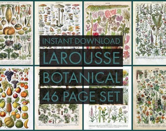 INSTANT DOWNLOAD 46 Page Set Larousse Botanical Medicinal Plants Fruit Vegetables Seaweed Trees Mushrooms and more