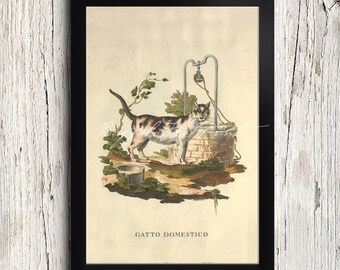 INSTANT DOWNLOAD Domestic Calico Cat Tabby Domestic Cat Art Print Wall Art Farmhouse Decor Printables