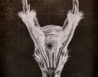 INSTANT DOWNLOAD Muntjak Deer Barking Deer Skull On Damask Halloween Decor Spooky Wall Art Anatomy
