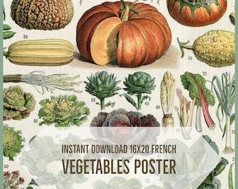 INSTANT DOWNLOAD Larousse Botanical Poster Print Pumpkin Cabbage Artichoke Beets Lettuce Carrots Kitchen Decor French Adolphe Millot