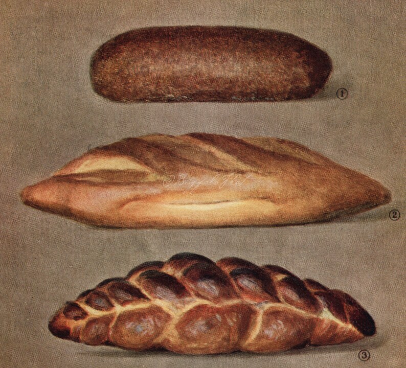 INSTANT DOWNLOAD Bread Types Pumpernickel Vienna Twist Rye New | Etsy